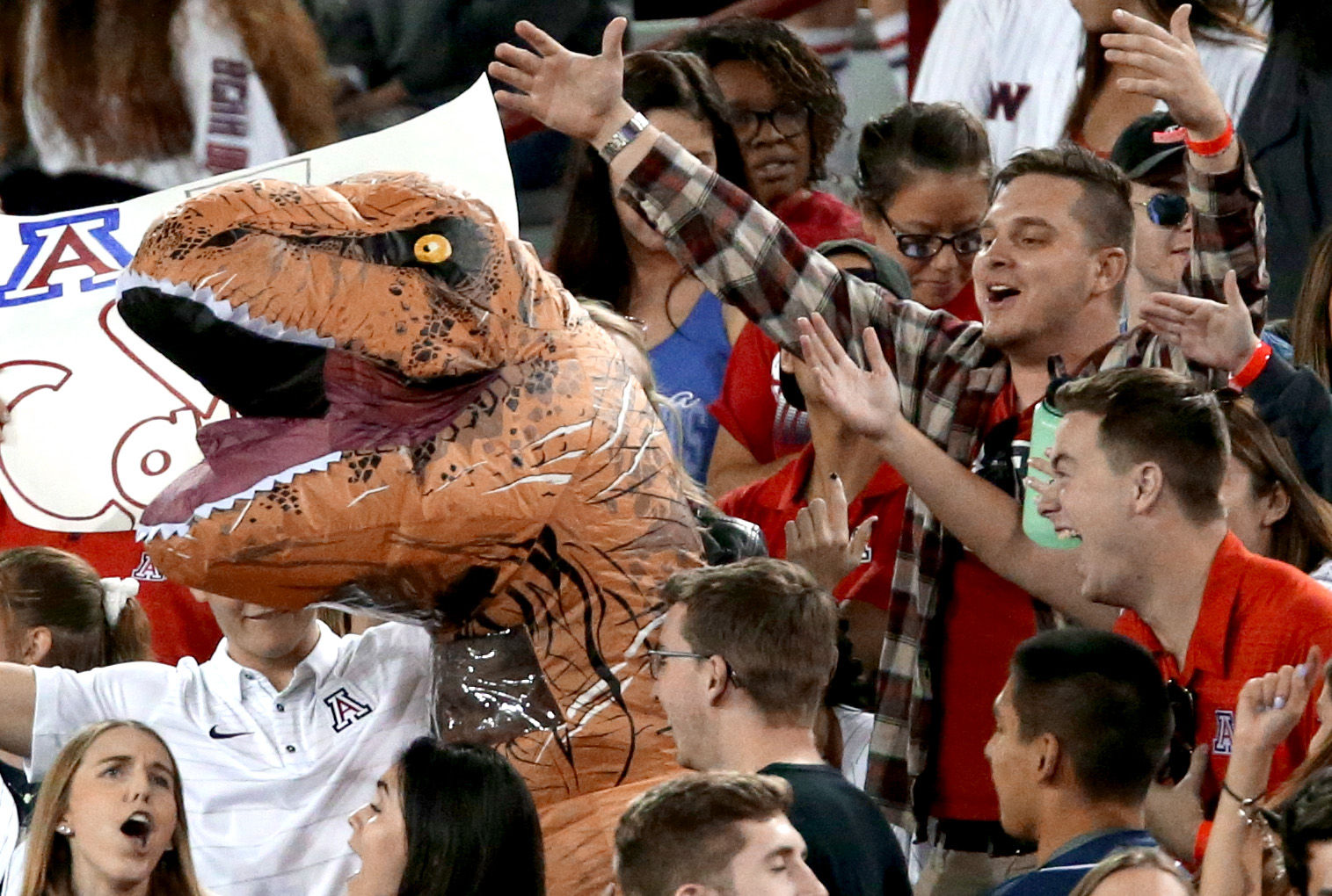 University of Arizona vs Oregon State (copy)